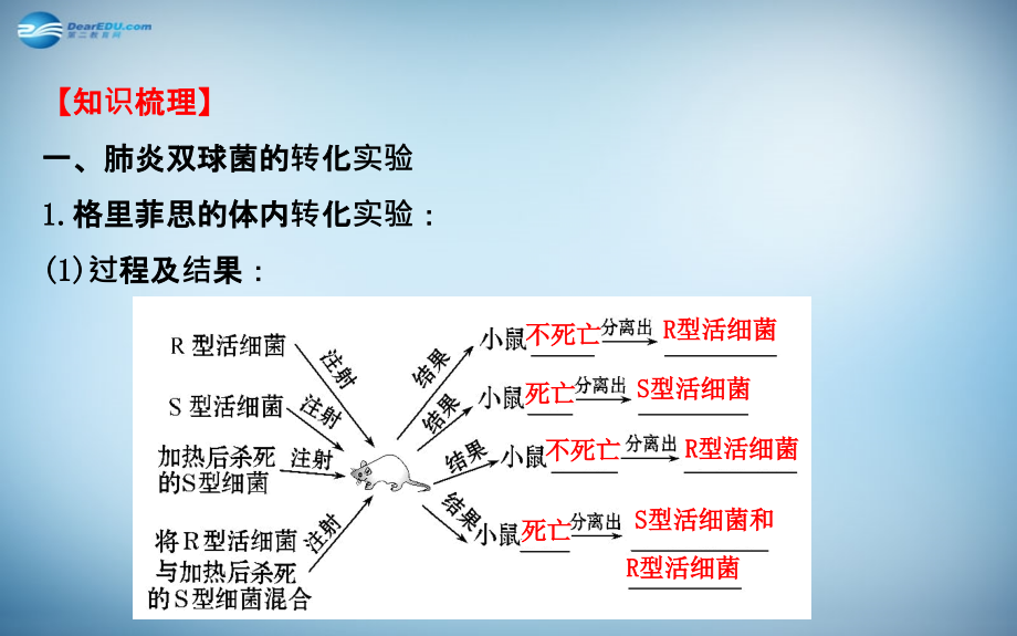 （全国通用）2018届高考生物总复习 第三章 基因的本质 第1节 dna是主要的遗传物质课件 新人教版必修2_第3页