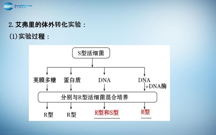 （全国通用）2018届高考生物总复习 第三章 基因的本质 第1节 dna是主要的遗传物质课件 新人教版必修2_第5页