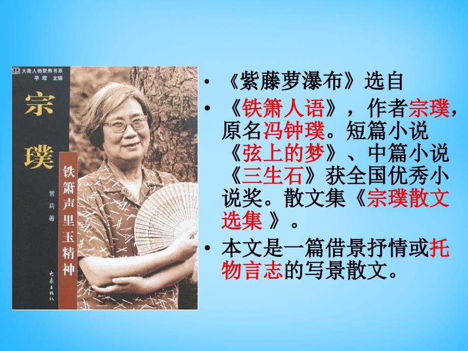 云南省绿春县大水沟中学七年级语文上册《第16课 紫藤萝瀑布》课件 新人教版_第3页