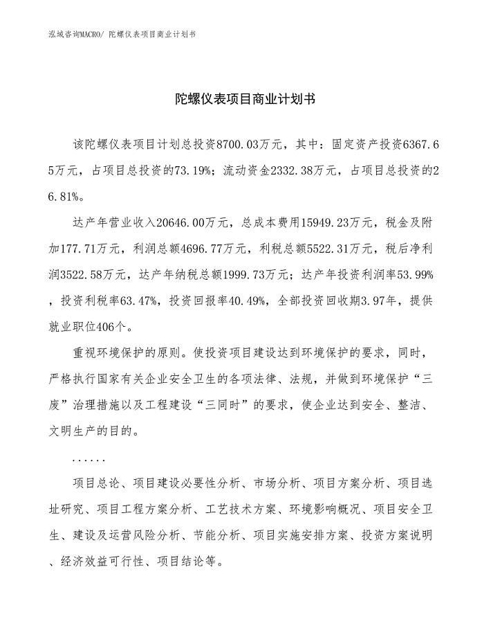 （项目说明）陀螺仪表项目商业计划书