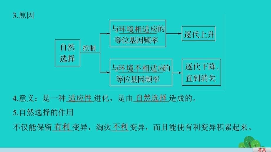 2018-2019学年高中生物 第五章 第二节 进化性变化是怎样发生的课件2 浙科版必修2_第5页