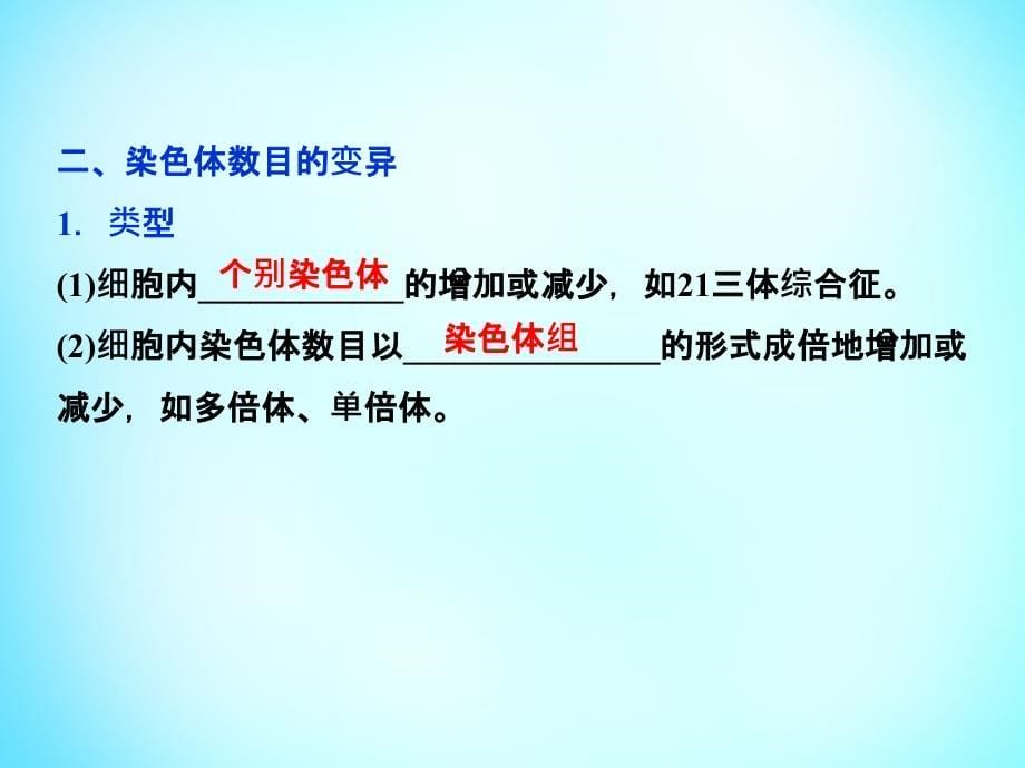 优化方案2018届高考生物一轮复习 第七单元 第21讲 染色体变异课件_第5页