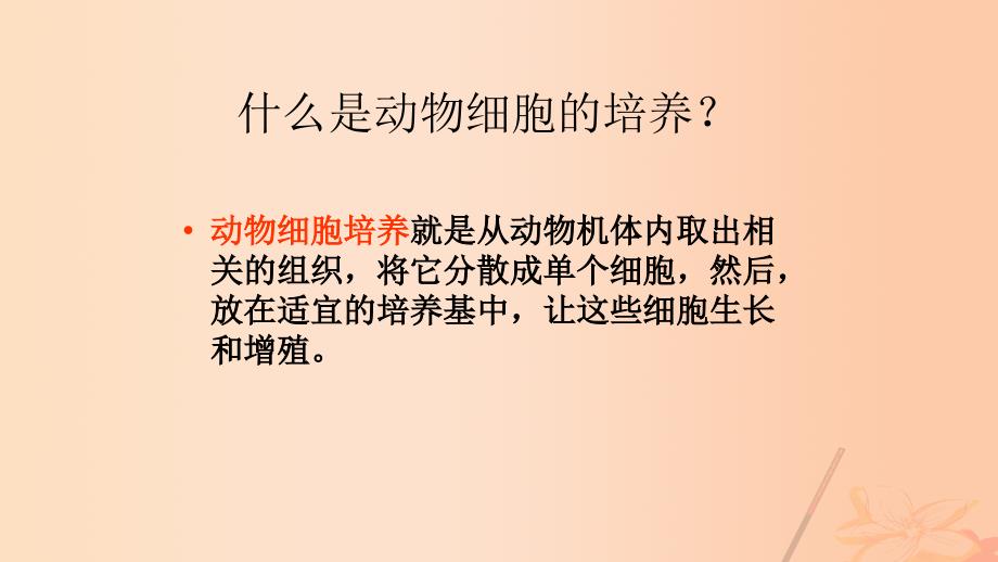 海南省儋州一中高中生物生 2.2《动物细胞的工程》课件 新人教版选修3_第4页