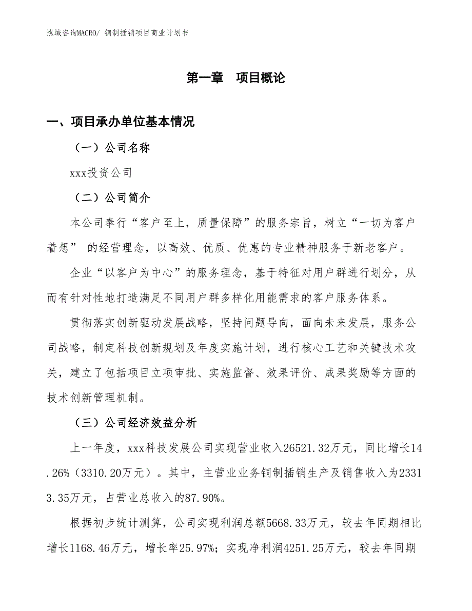 （项目说明）铜制插销项目商业计划书_第2页