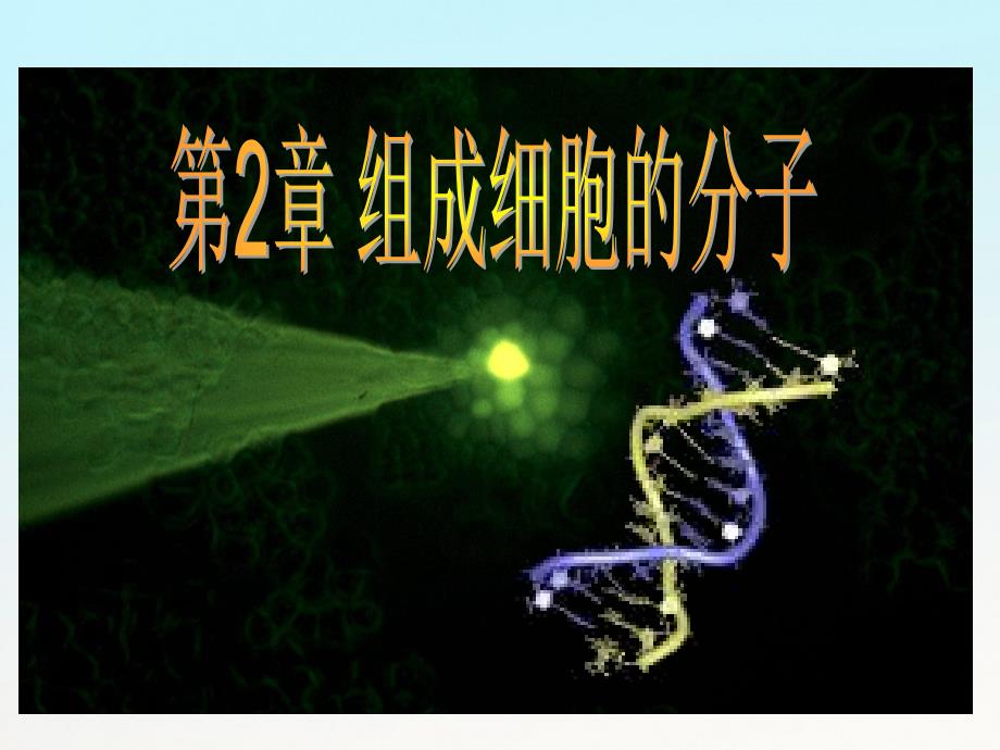 安徽省望江二中2018-2019年度高中生物 第二章 分子与细胞 第二节 生命活动的承担者-蛋白质课件 新人教版必修1_第1页