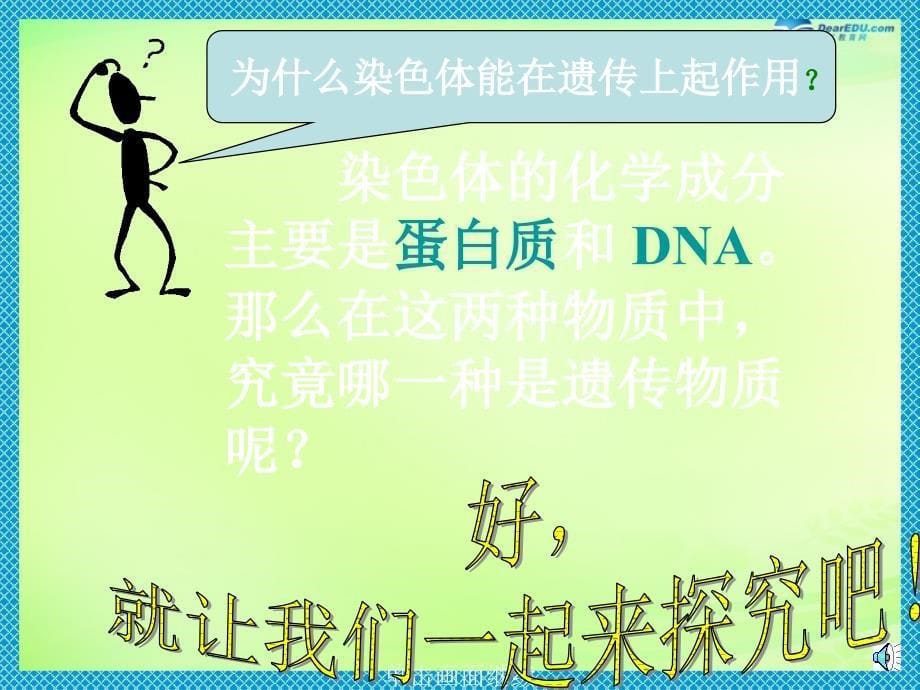 黑龙江省大庆市第三十中学八年级生物下册 22.1 dna是主要的遗传物质课件3 （新版）苏教版_第5页