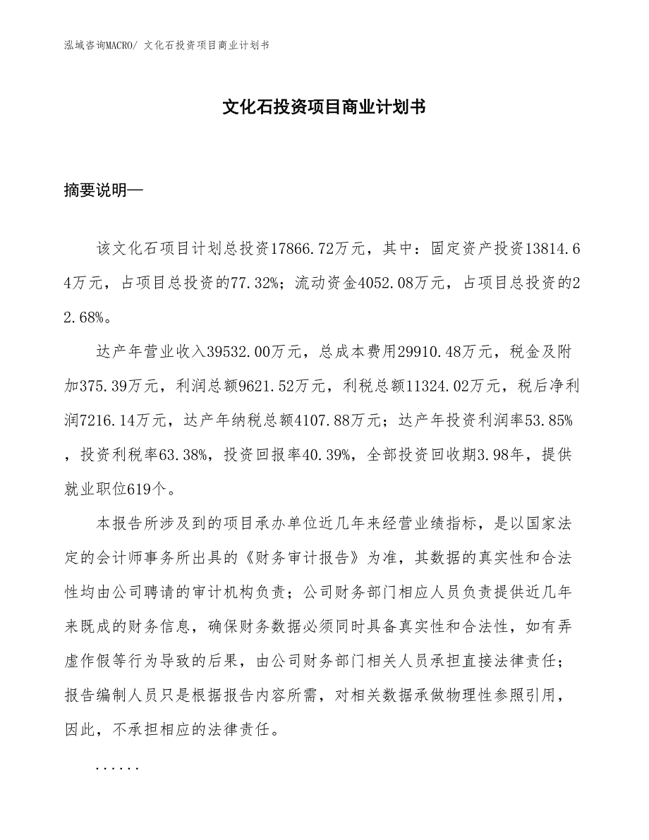 （参考）文化石投资项目商业计划书_第1页