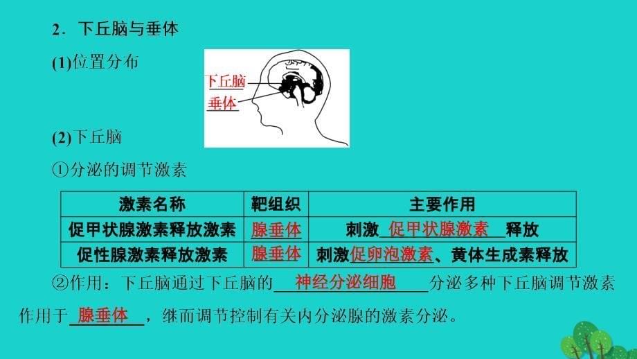 2018-2019学年高中生物 第2章 动物生命活动的调节 第3节 高等动物的内分泌系统与体液调节（一）课件 浙科版必修3_第5页