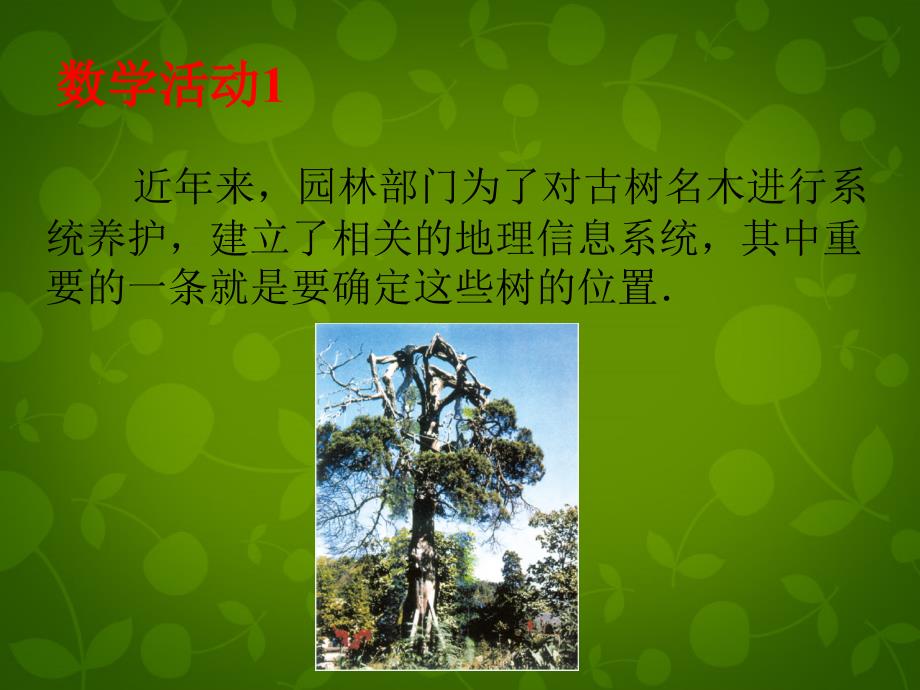 云南省剑川县马登镇初级中学七年级数学下册 7 数学活动课件 新人教版_第4页