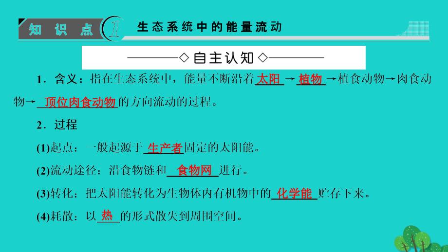 2018-2019学年高中生物 第6章 生态系统 第3节 能量流动和物质循环课件 浙科版必修3_第3页