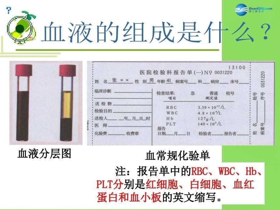 七年级生物下册 4.4.1 流动的组织—血液课件1 新人教版_第5页