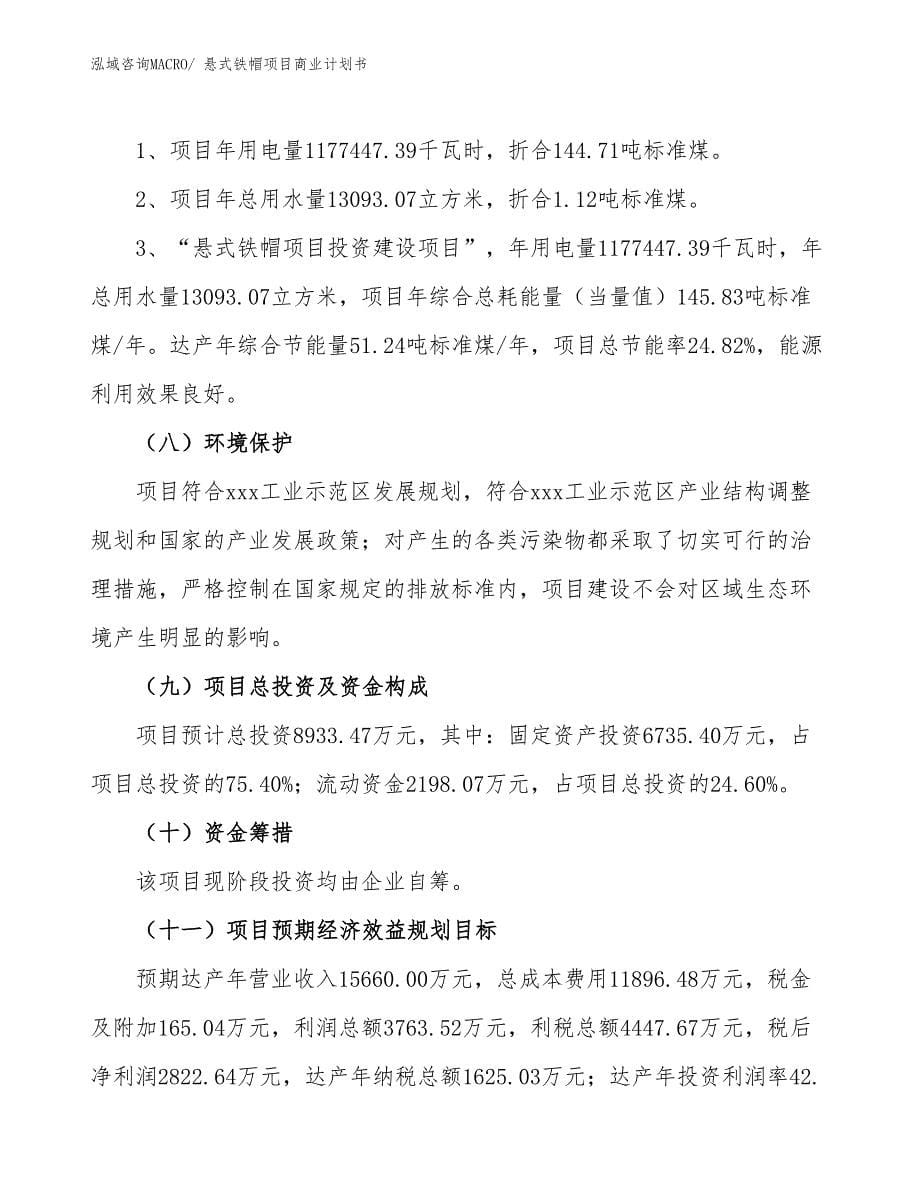 （项目说明）悬式铁帽项目商业计划书_第5页