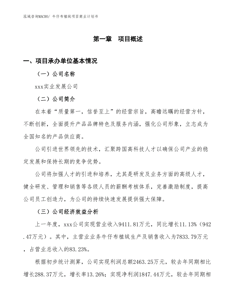 （项目计划）牛仔布植绒项目商业计划书_第2页