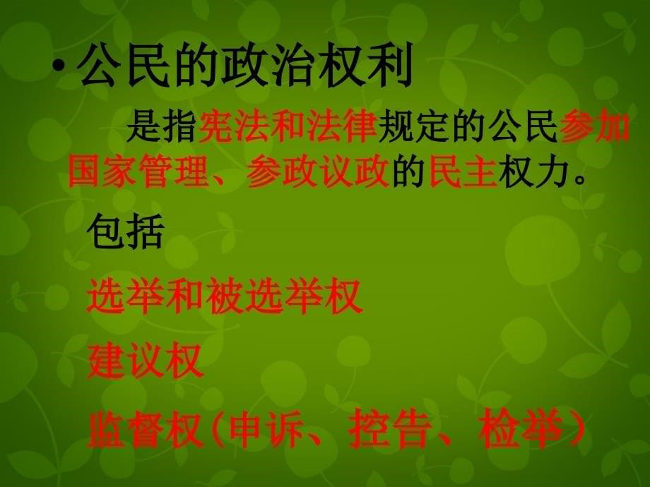 浙江省慈溪市慈吉中学九年级政治全册 6.3 依法参与政治生活课件 新人教版_第5页