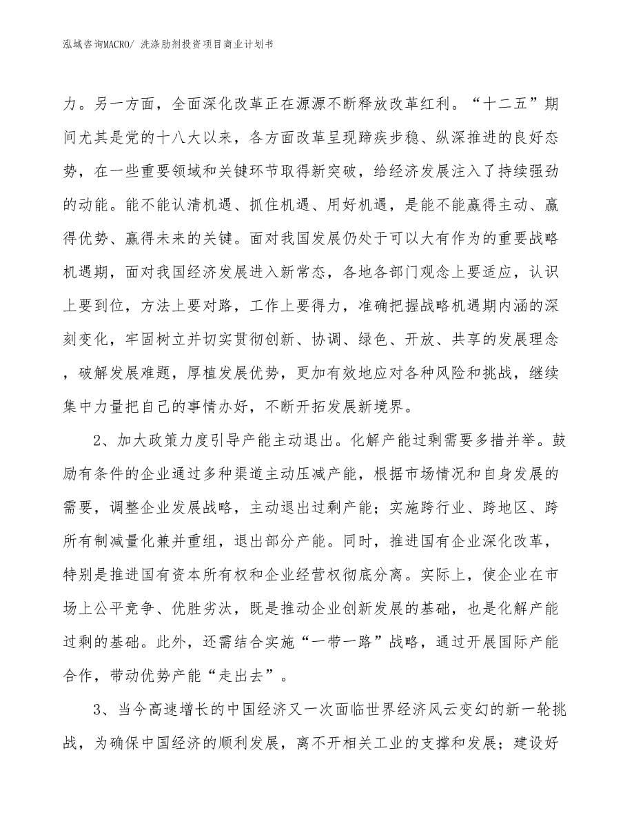 （参考）洗涤肋剂投资项目商业计划书_第5页