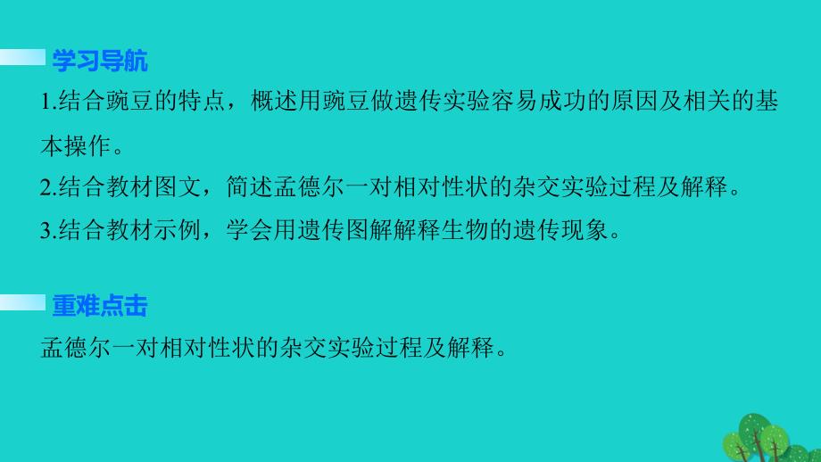 2018-2019学年高中生物 1.1.1 一对相对性状的杂交实验过程和解释课件 新人教版必修2_第2页