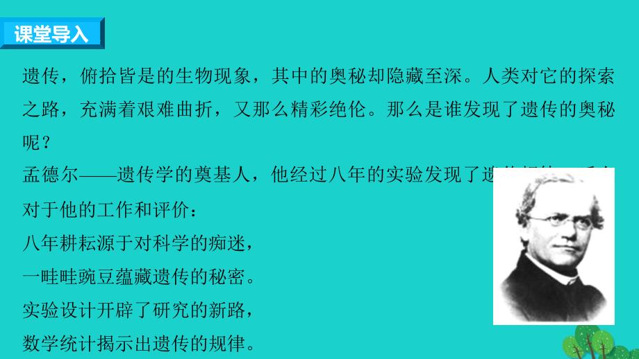 2018-2019学年高中生物 1.1.1 一对相对性状的杂交实验过程和解释课件 新人教版必修2_第3页