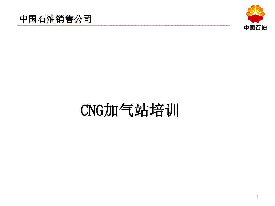 CNG加气站培训.ppt_第1页