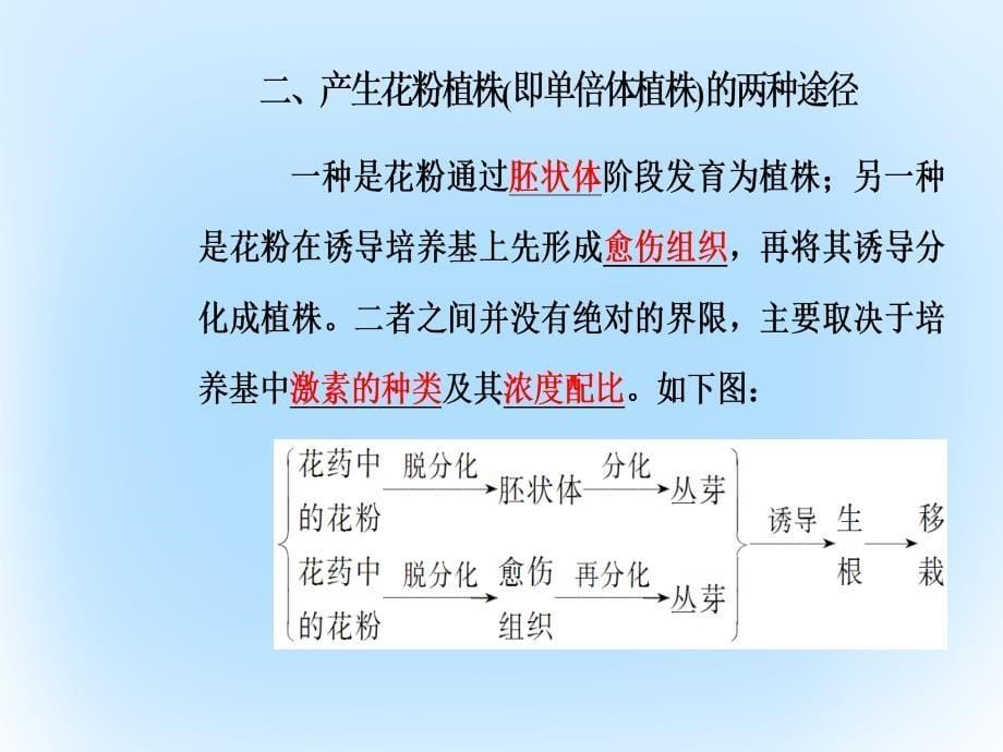 2018-2019学年高中生物 专题3 植物的组织培养技术 课题2 月季的花药培养课件 新人教版选修1_第5页