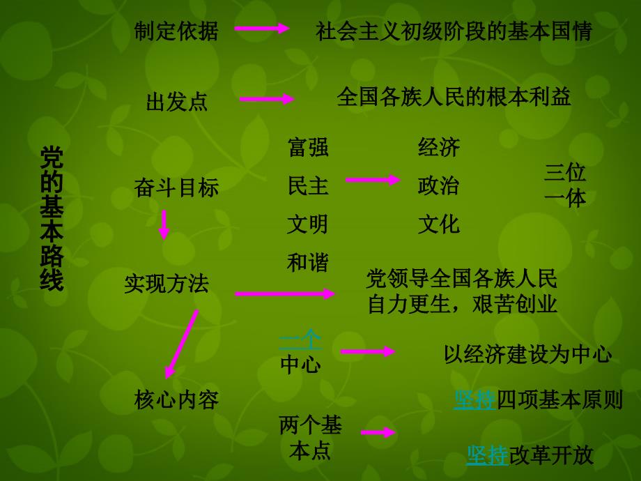 四川省宜宾市翠屏区李端初级中学九年级政治全册 2.3.2 党的基本路线课件 新人教版_第4页