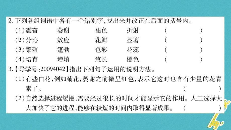 2018学年八年级语文下册第3单元第13课花儿为什么这样红课件苏教版_第3页