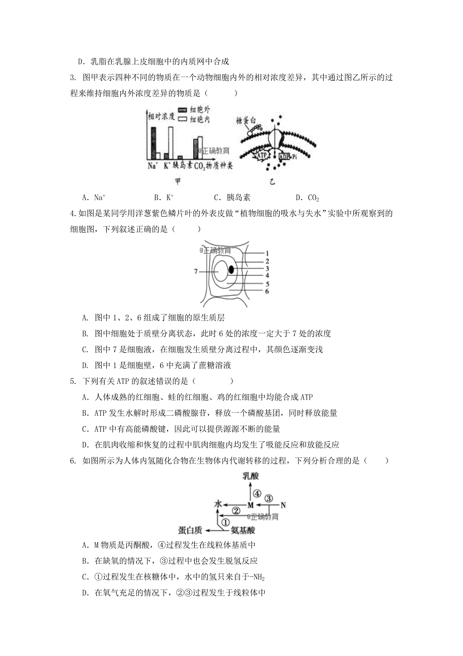 重庆市万州二中2019届高三上学期10月月考理科综合试卷（无答案）_第2页