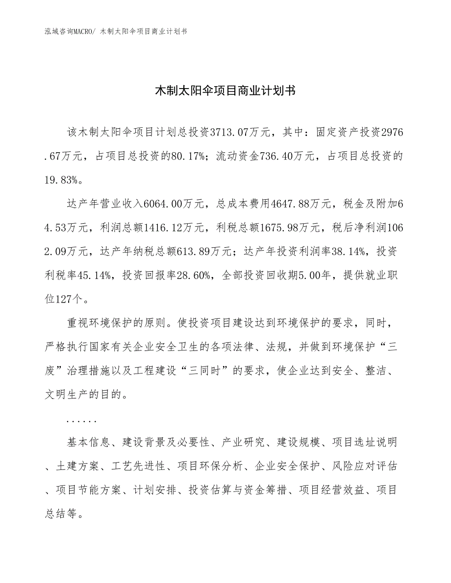 （项目说明）木制太阳伞项目商业计划书_第1页