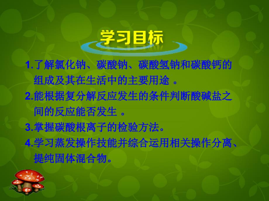 河北省东光县第二中学九年级化学下册 第十一单元 课题1 生活中常见的盐课件 新人教版_第2页