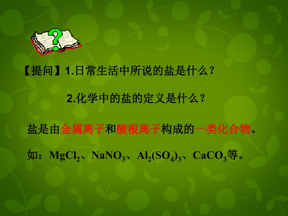 河北省东光县第二中学九年级化学下册 第十一单元 课题1 生活中常见的盐课件 新人教版_第4页