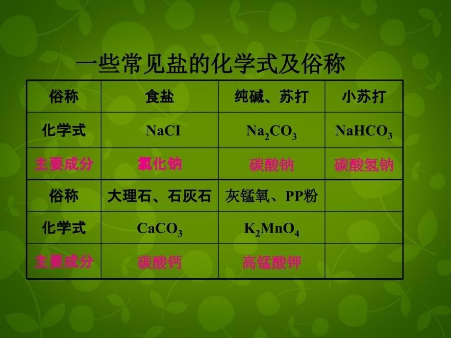 河北省东光县第二中学九年级化学下册 第十一单元 课题1 生活中常见的盐课件 新人教版_第5页