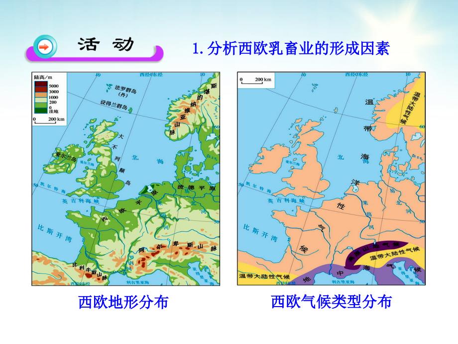 山西省怀仁县巨子学校高中部高中地理 3.3 乳蓄业课件 新人教版必修2_第4页