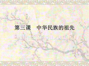 1.3.9《中华民族的祖先》课件华师大版七年级上册