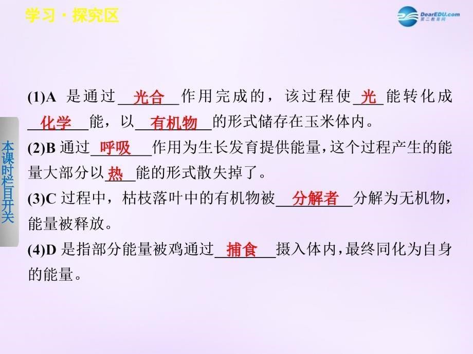 高中生物 4.2.1 生态系统稳态的维持生态系统中的能量流动课件 苏教版必修3_第5页