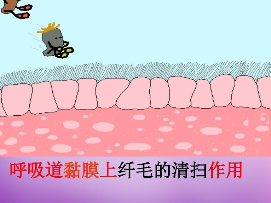 贵州省毕节梁才学校八年级生物下册 8.1.2 免疫与计划免疫课件 新人教版_第5页