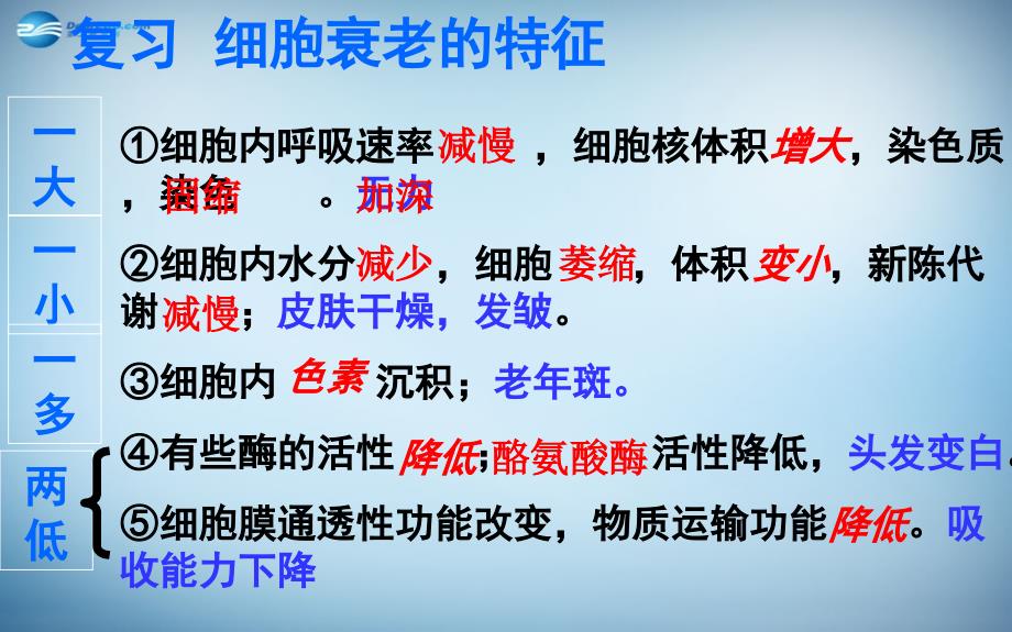 湖南省怀化市溆浦县第三中学高中生物《6.4 细胞的癌变》课件 新人教版必修1_第2页