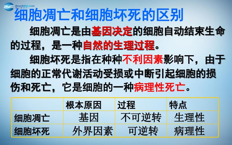 湖南省怀化市溆浦县第三中学高中生物《6.4 细胞的癌变》课件 新人教版必修1_第4页