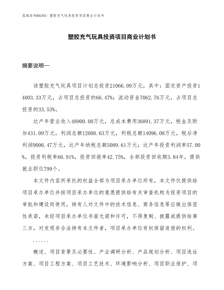 （汇报资料）塑胶充气玩具投资项目商业计划书_第1页