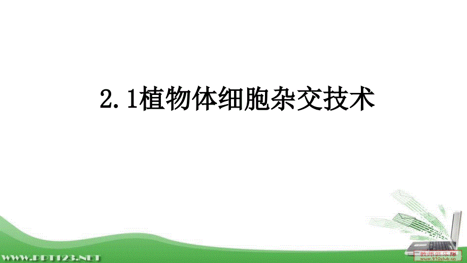 2.11公开课植物体细胞杂交.pptx_第1页