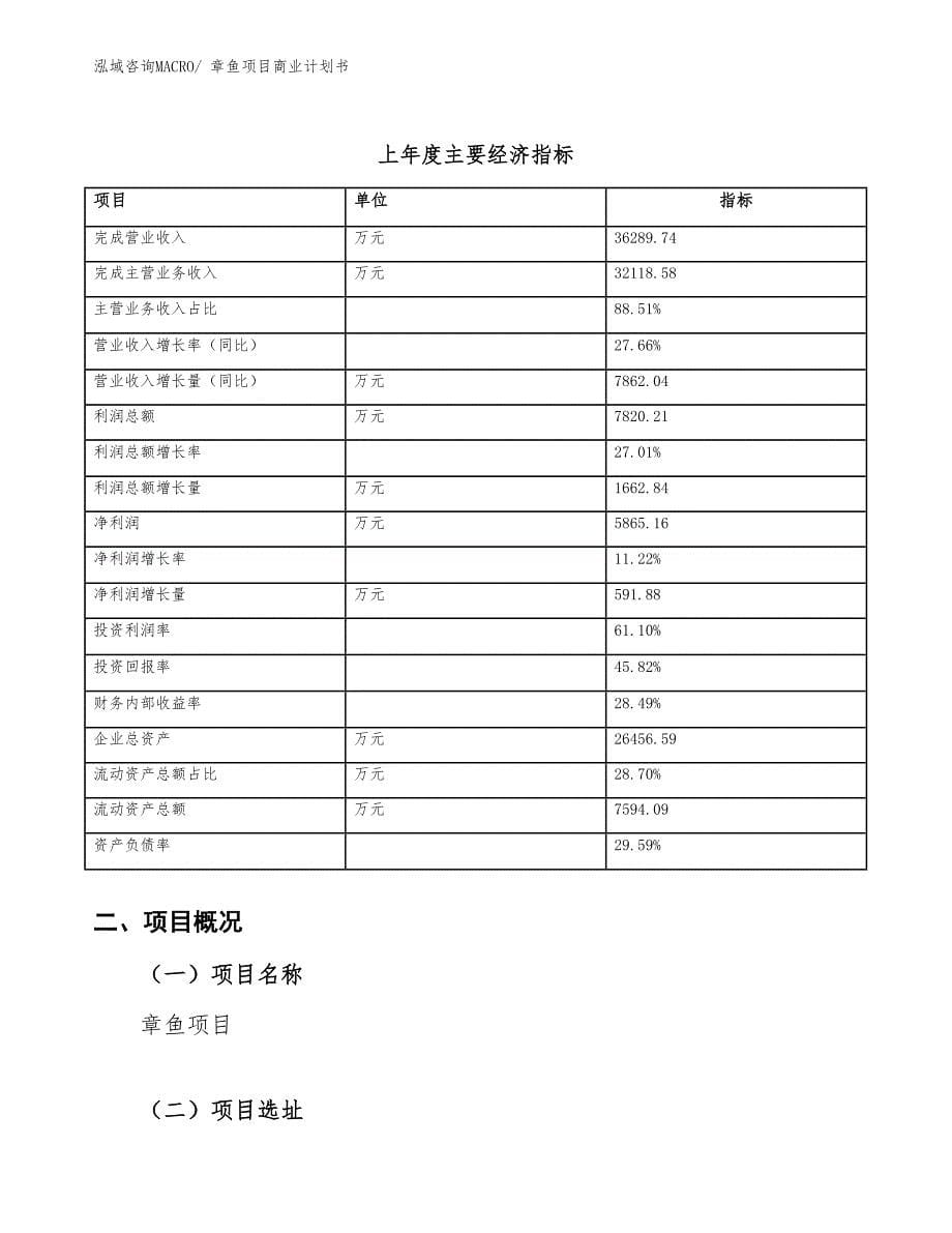 （项目说明）章鱼项目商业计划书_第5页