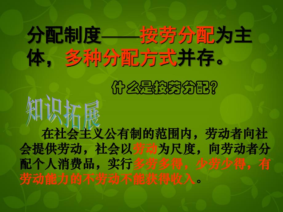 浙江省慈溪市慈吉中学九年级政治全册 7.2 走向共同富裕的道路课件 新人教版_第4页