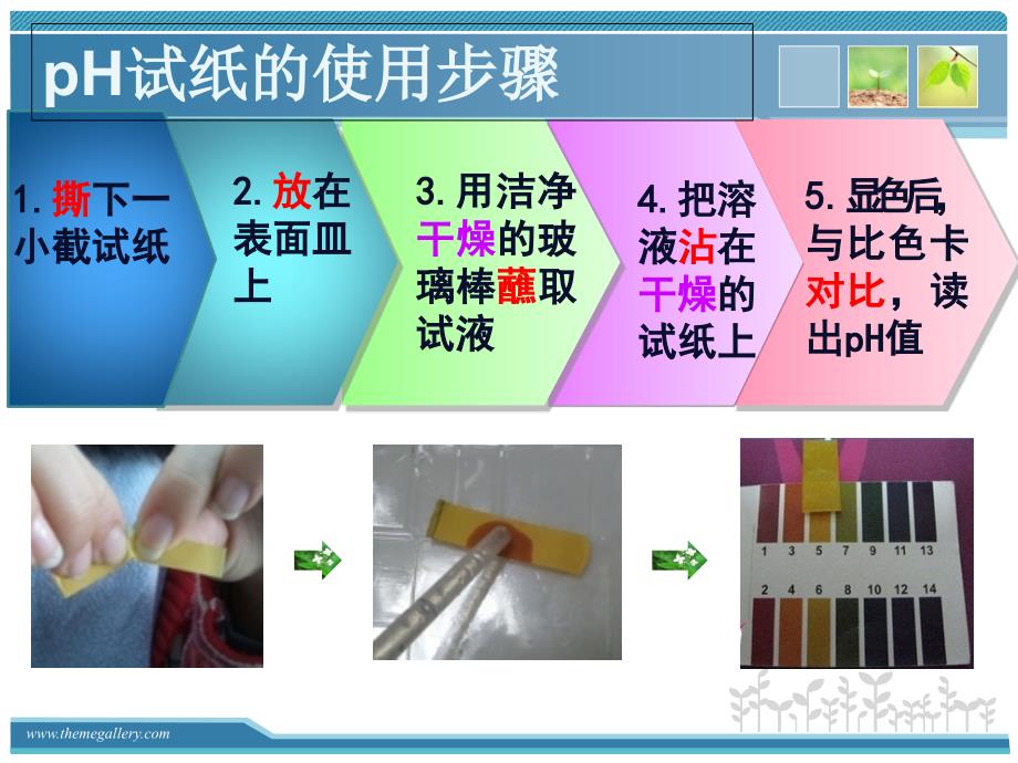 福建省福鼎市第二中学高三化学一轮复习《ph试纸的使用》课件_第4页