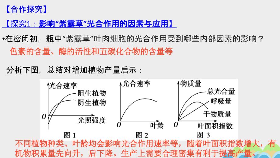 山东省日照市2018届高三生物一轮复习 光合作用课件（第2课时）_第3页