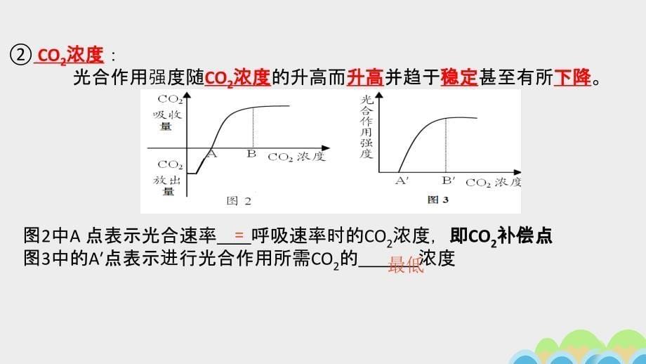 山东省日照市2018届高三生物一轮复习 光合作用课件（第2课时）_第5页