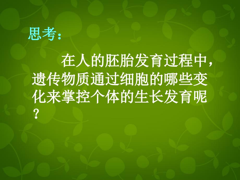 浙江省嘉兴市第三中学高中生物《4.3 细胞的分化和癌变》课件 浙科版必修1_第2页