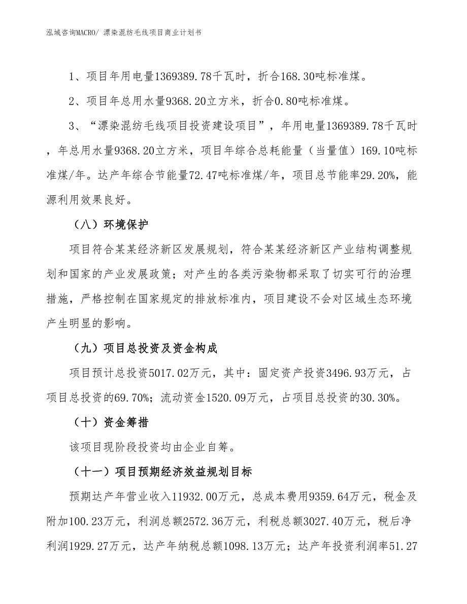 （项目说明）漂染混纺毛线项目商业计划书_第5页