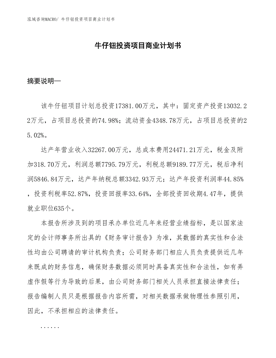 （参考）牛仔钮投资项目商业计划书_第1页