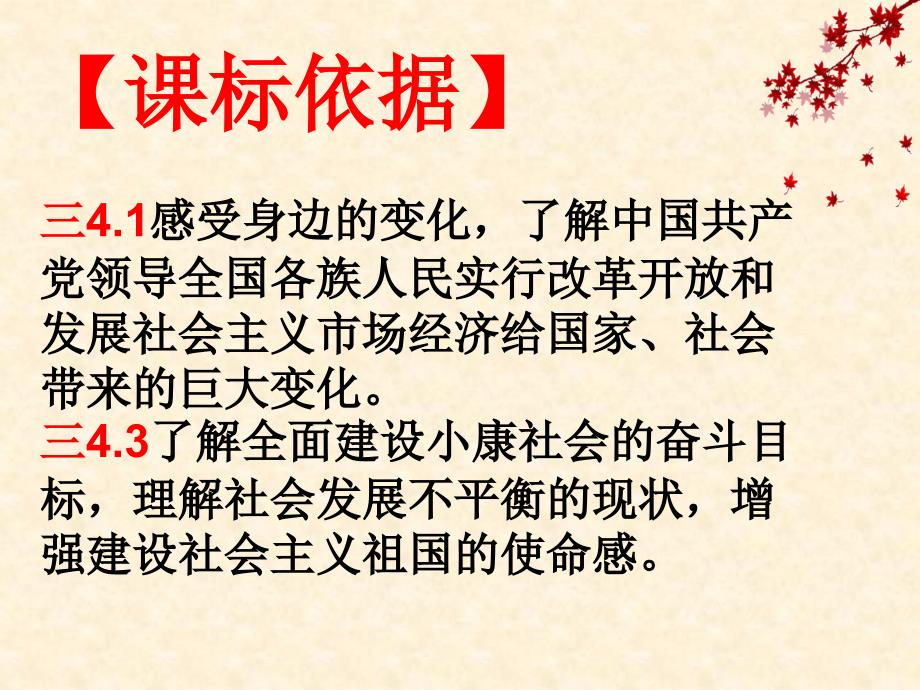 2.1走向小康 课件5（政治教科版九年级全册）_第3页