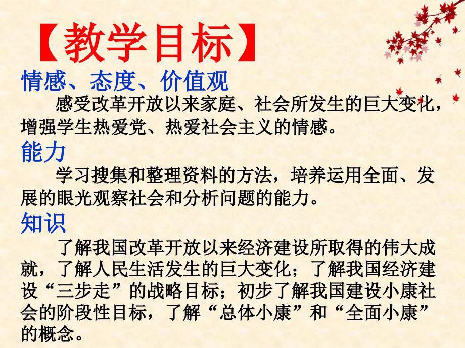 2.1走向小康 课件5（政治教科版九年级全册）_第4页