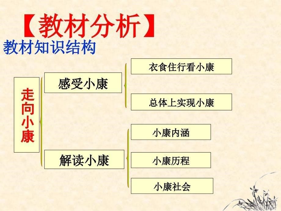 2.1走向小康 课件5（政治教科版九年级全册）_第5页