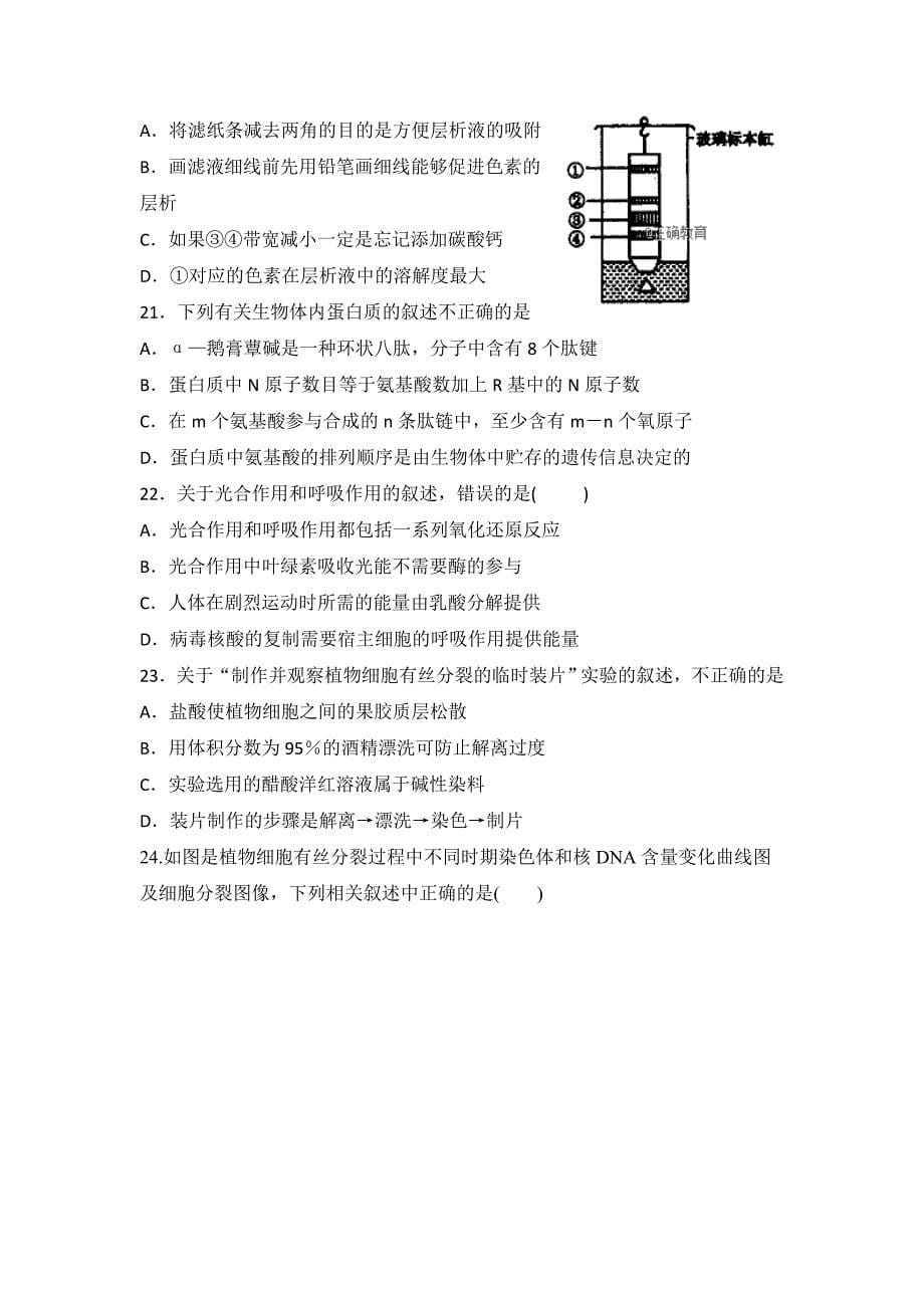 河南省济源四中2019届高三上学期第一次质量检查生物试卷_第5页